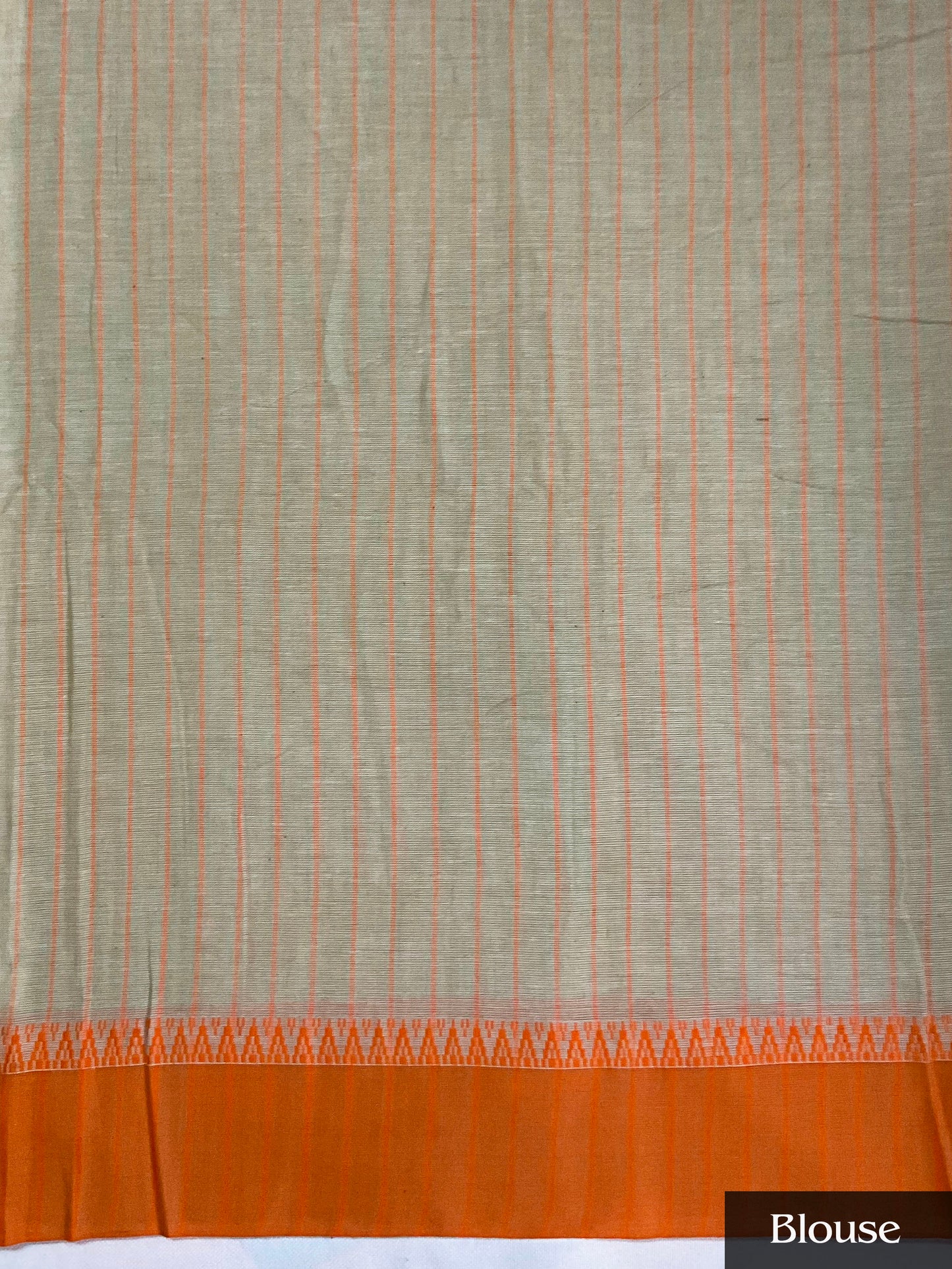 Marigold Dream